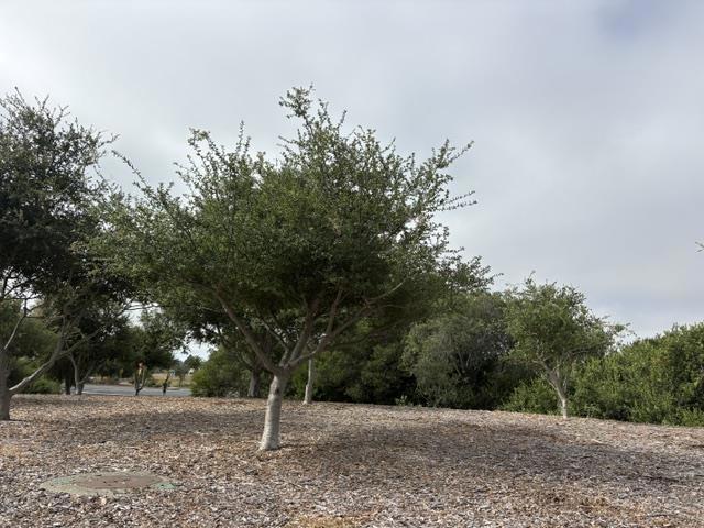 104 Wilson Avenue Property Photo 14