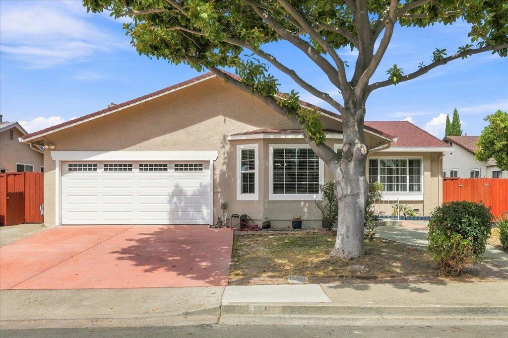35014 Begonia Street Property Photo 1