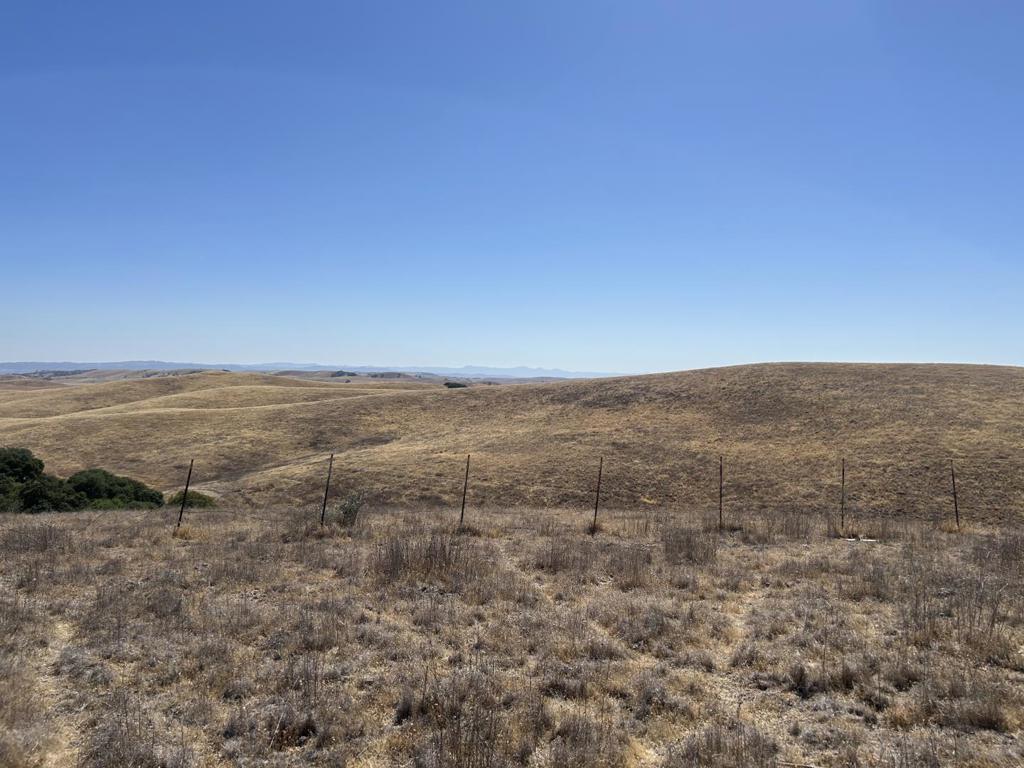 ML82059277 Property Photo 7