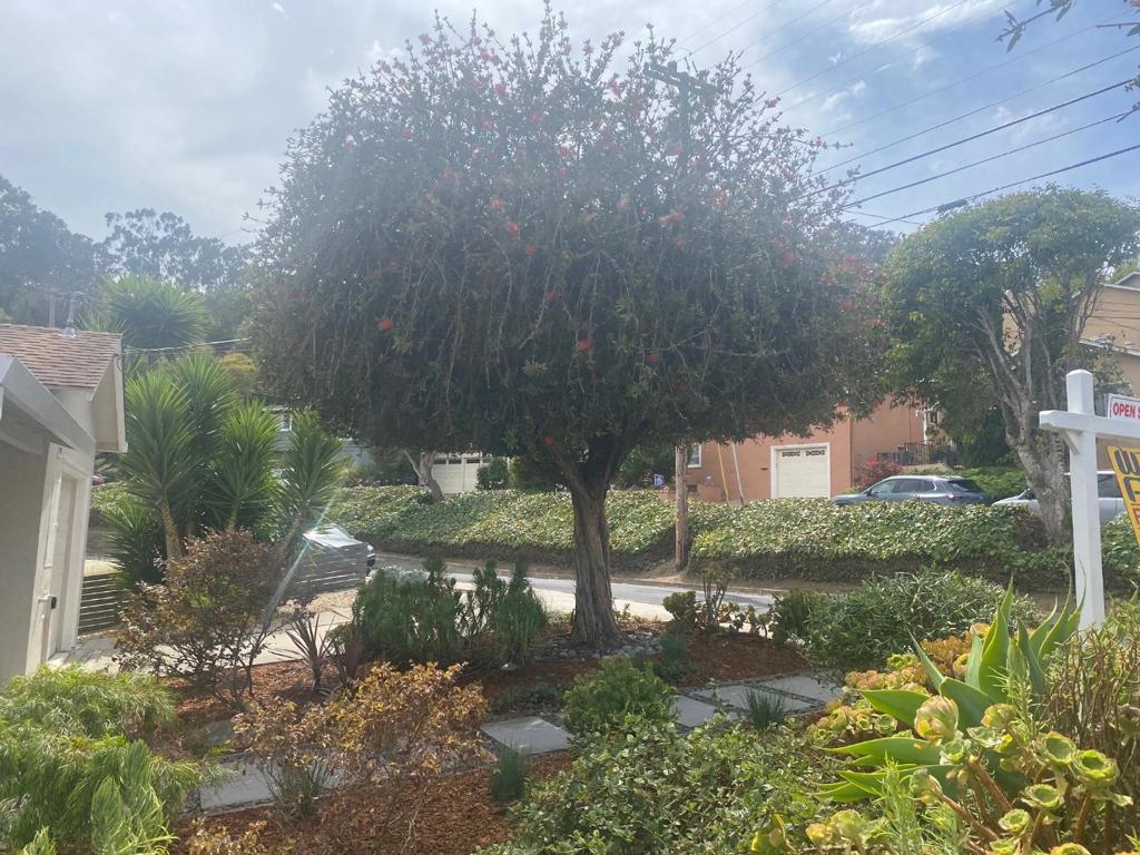 426 Beech Avenue Property Photo 7