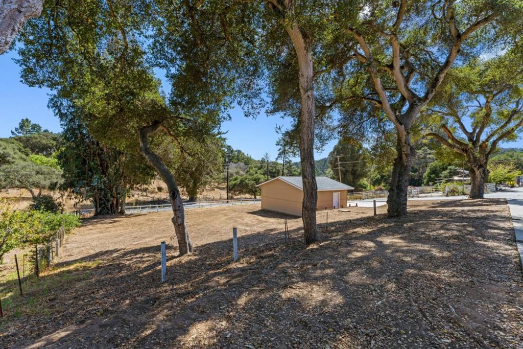 76857695 Pine Tree Property Photo 6