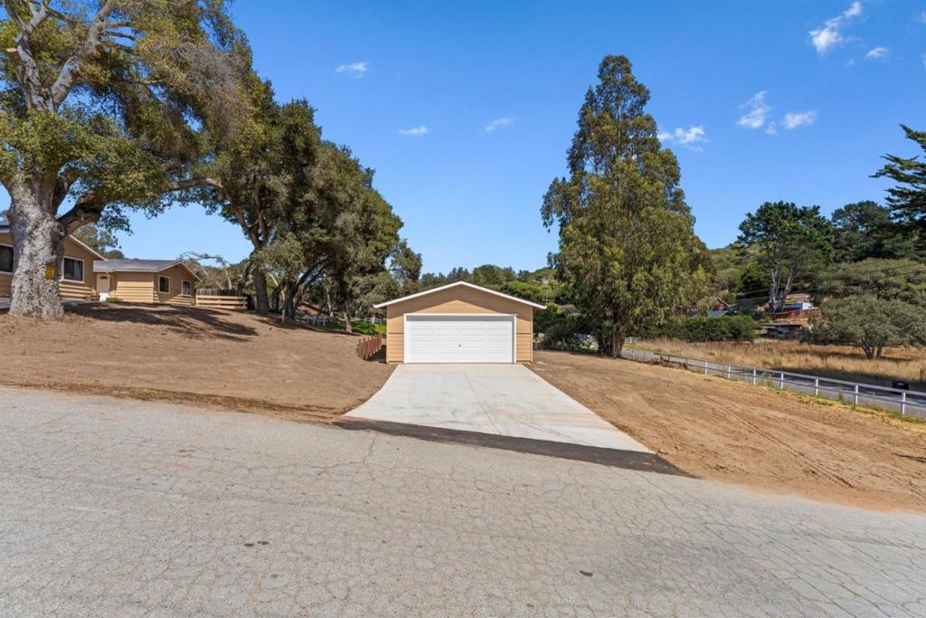76857695 Pine Tree Property Photo 14