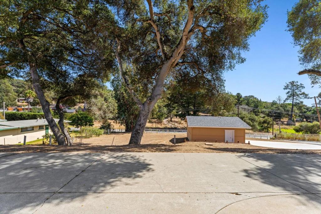 76857695 Pine Tree Property Photo 15