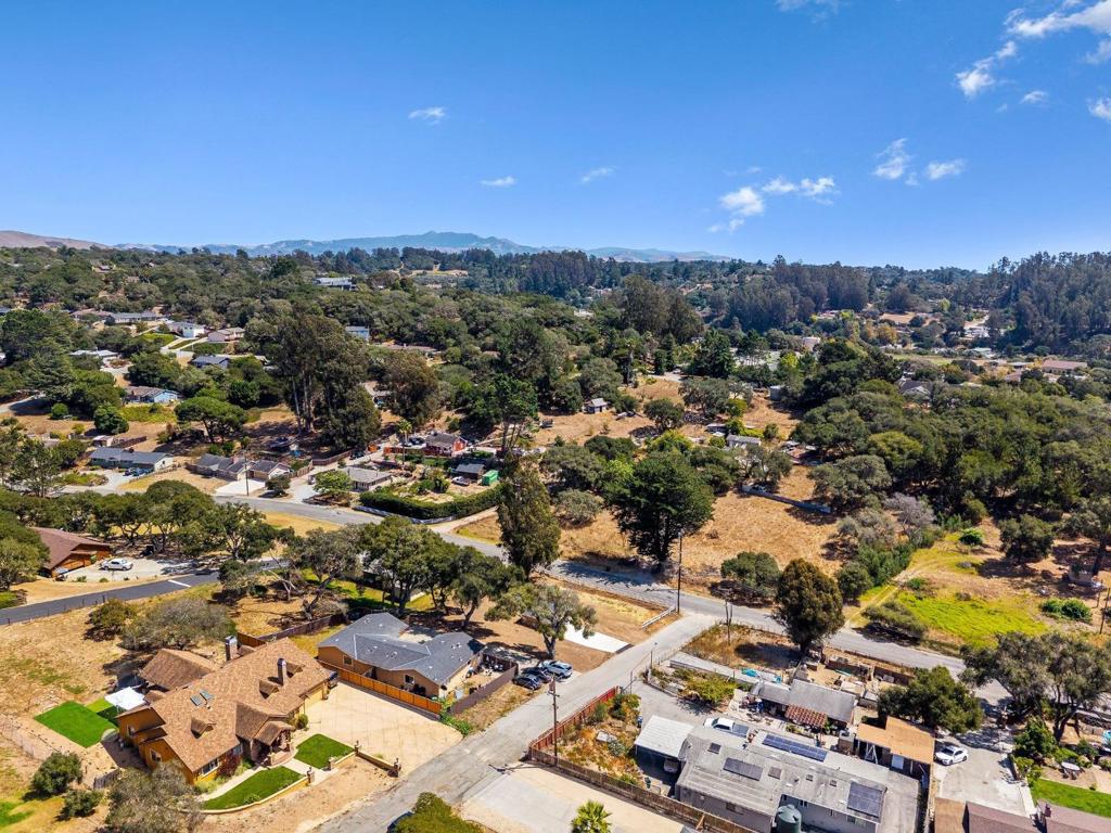 76857695 Pine Tree Property Photo 39