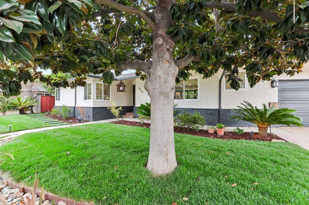 4259 Silver Street Property Photo 4