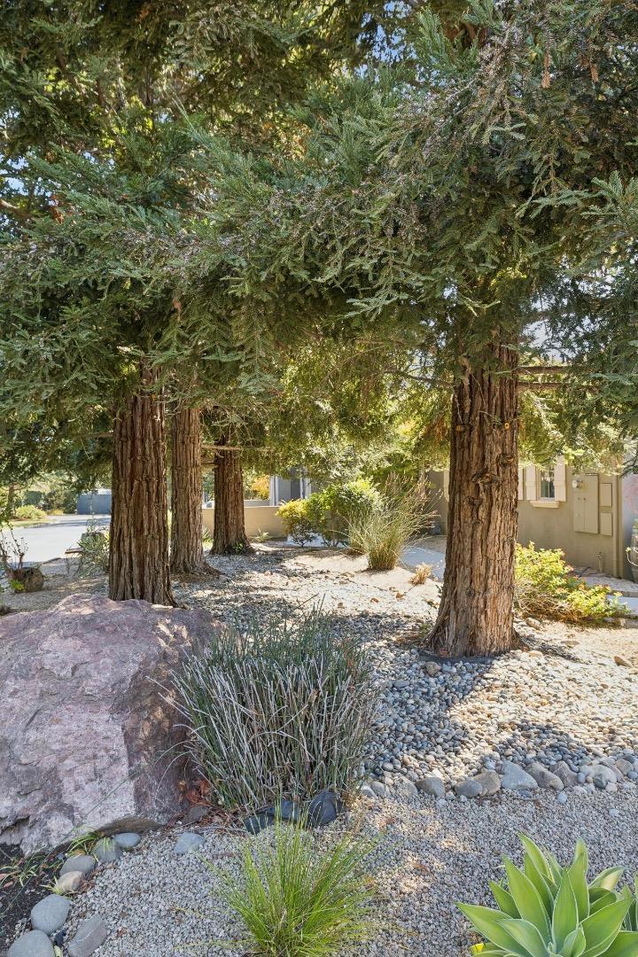740 California Avenue Property Photo 6