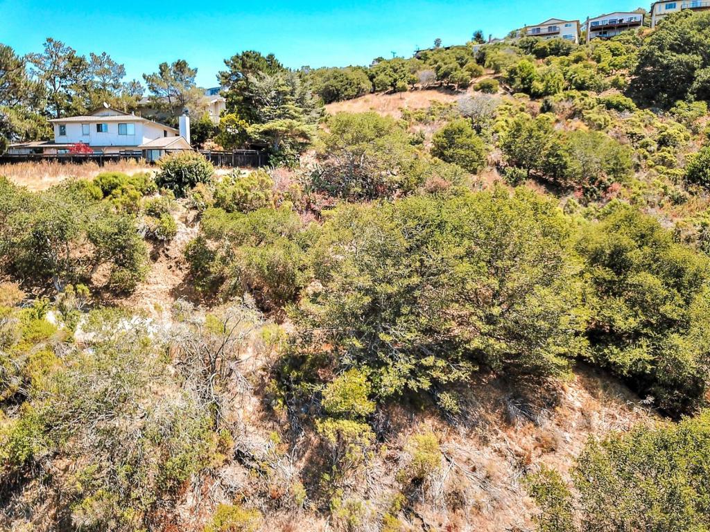 2928 Alhambra Drive Property Photo 2