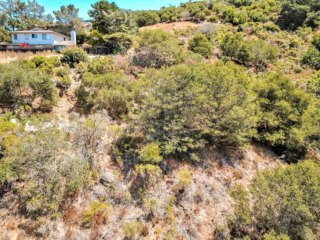 2928 Alhambra Drive Property Photo 3