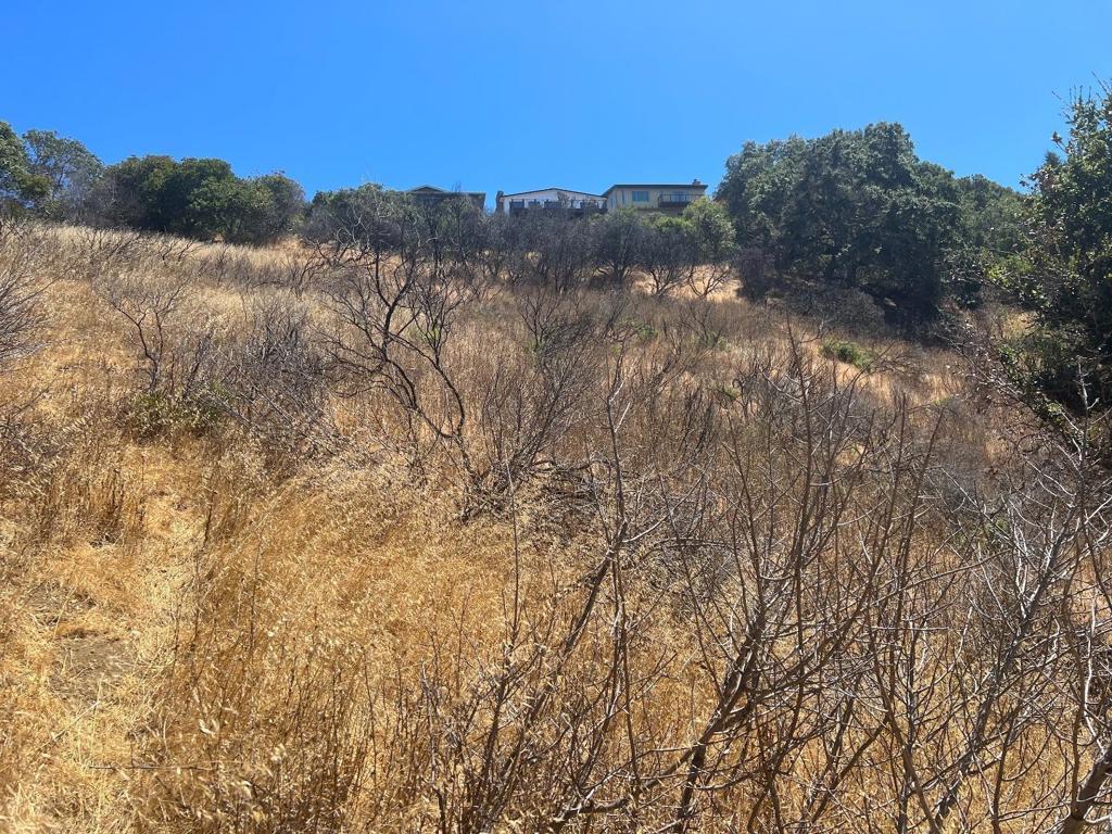 2928 Alhambra Drive Property Photo 9
