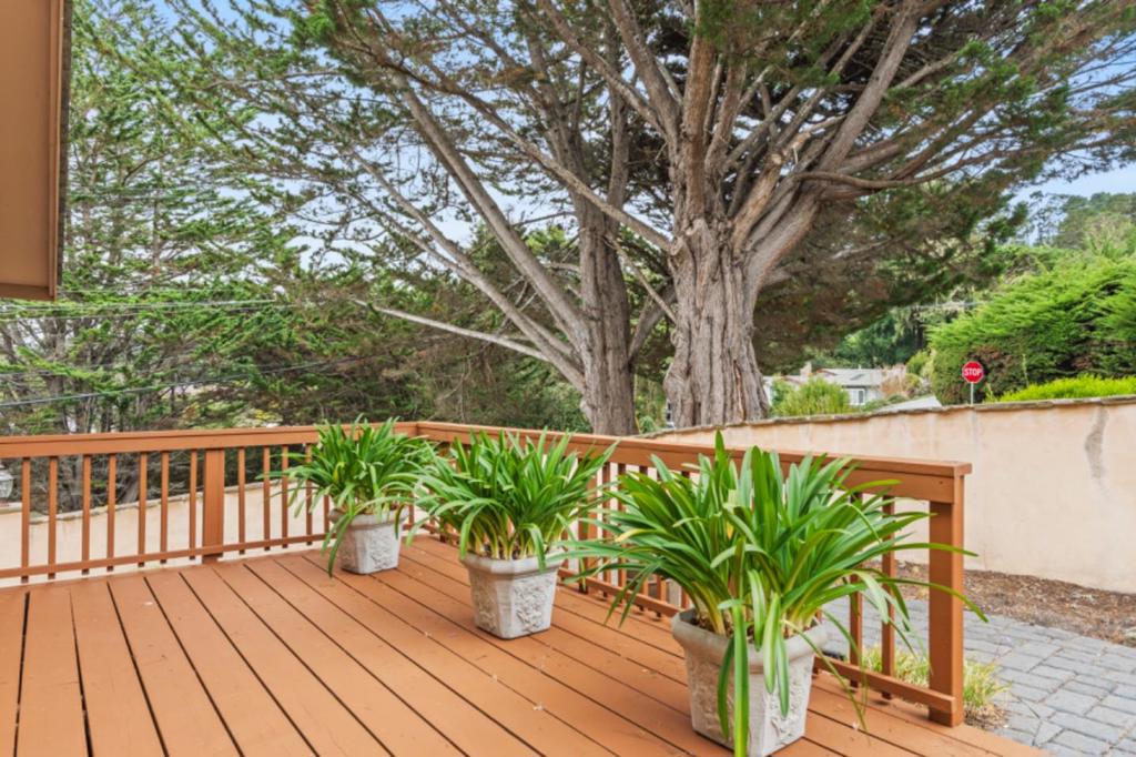 ML82059558 Property Photo 39