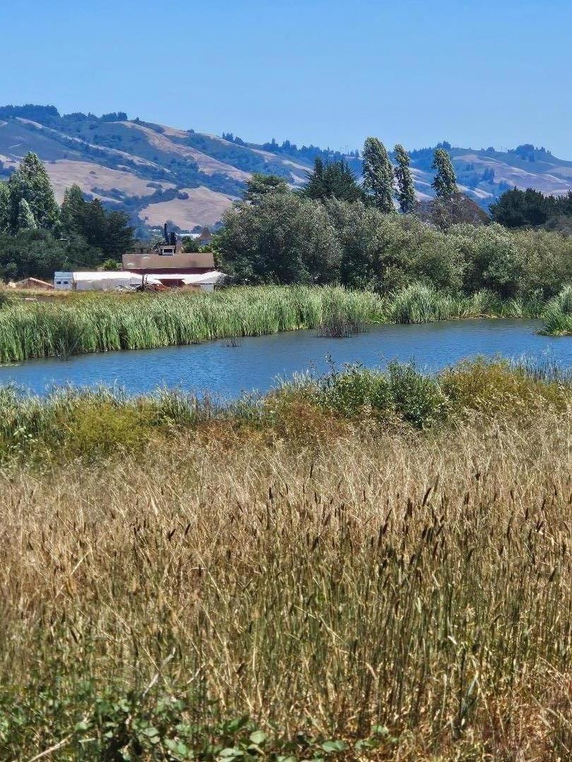 ML82059562 Property Photo 1