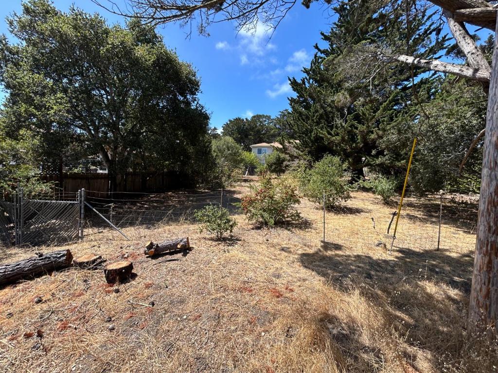 26046 Highway 1 Property Photo 1