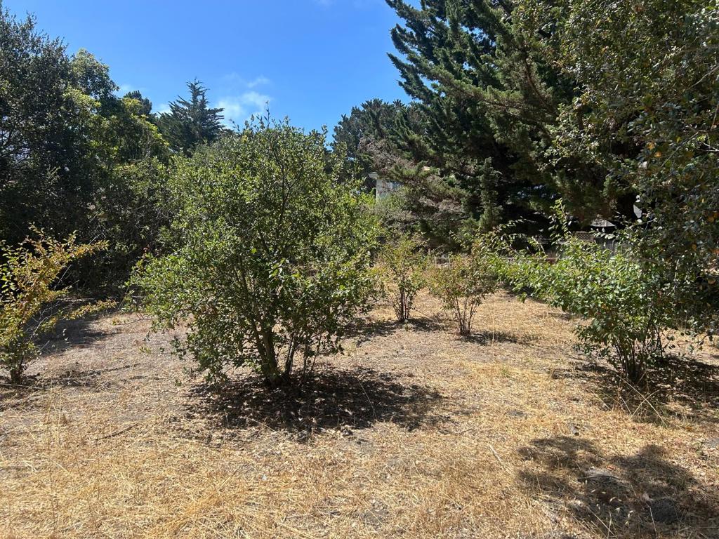 26046 Highway 1 Property Photo 3