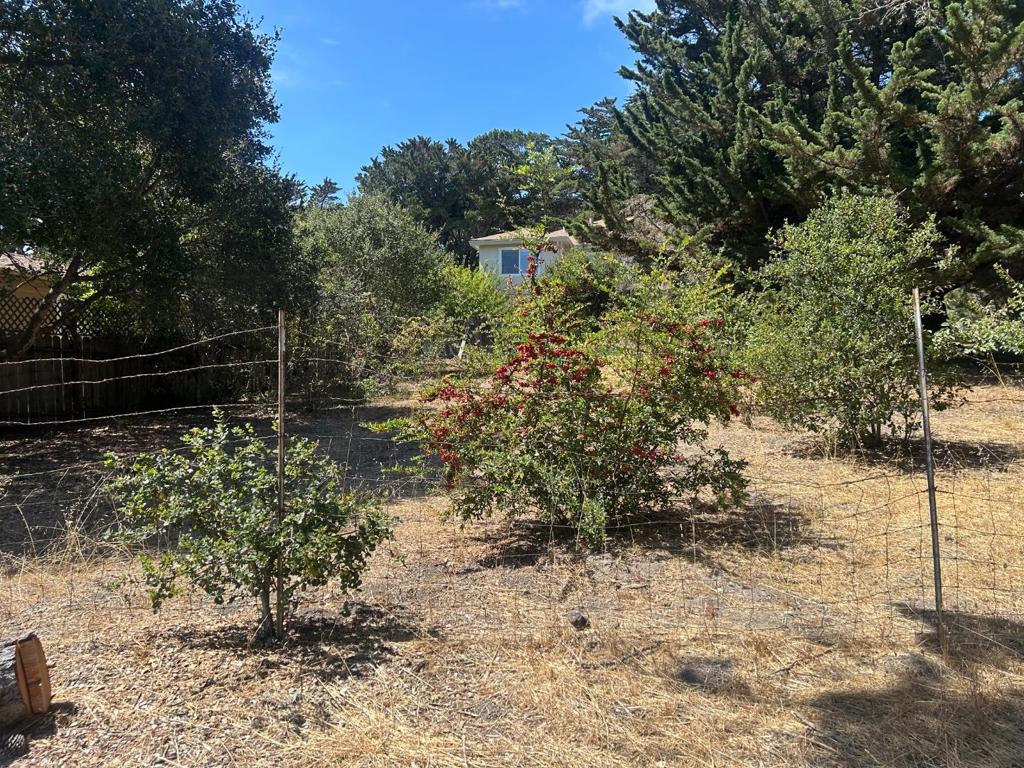 26046 Highway 1 Property Photo 5