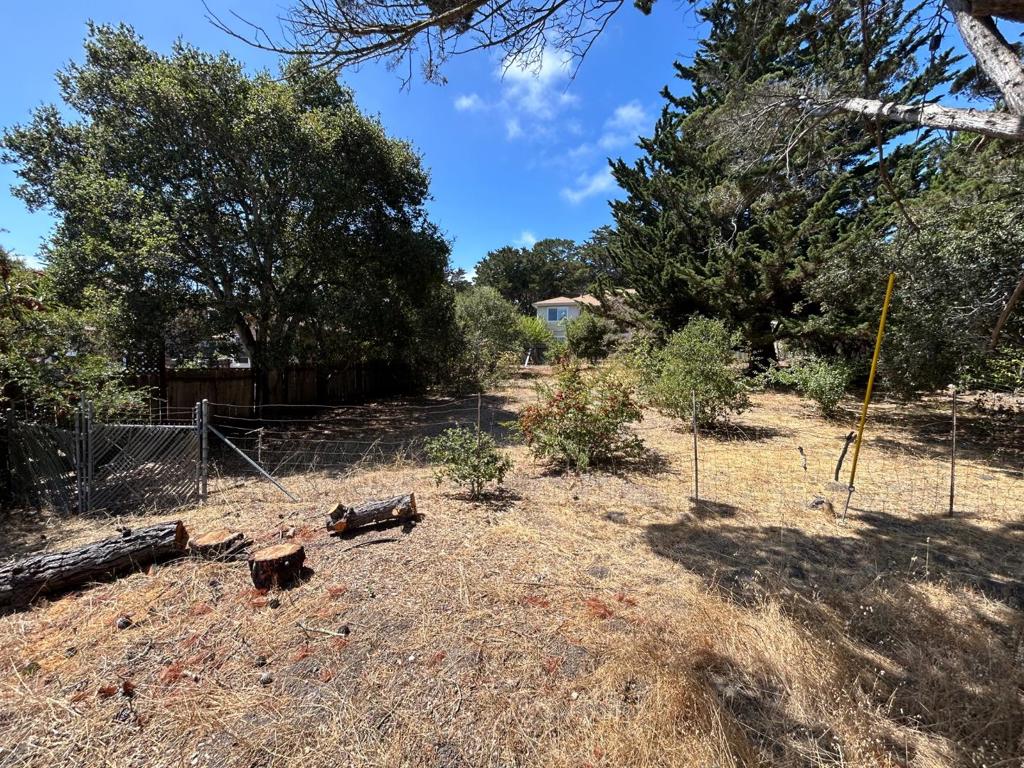 26046 Highway 1 Property Photo 6