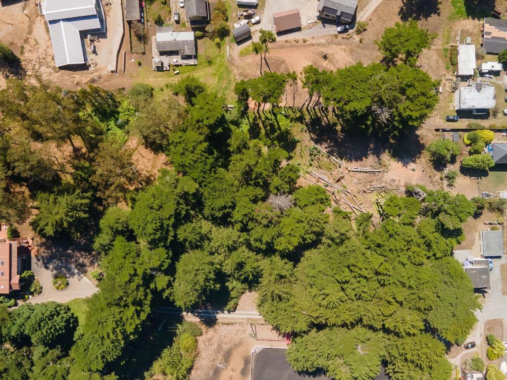 0 Ivy Property Photo 11