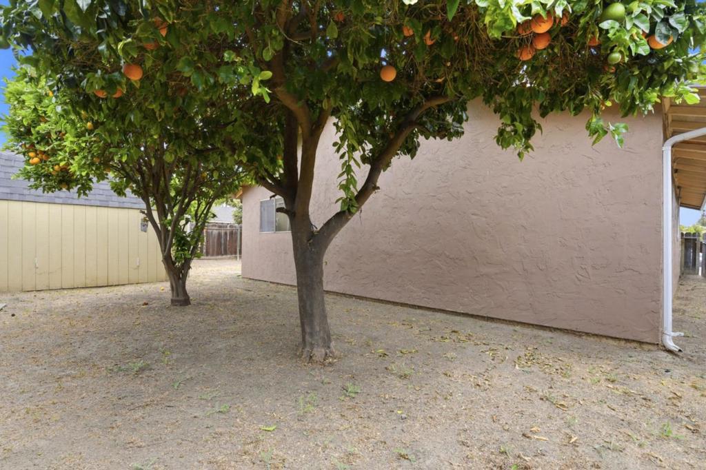 260 Ranchito Drive Property Photo 22