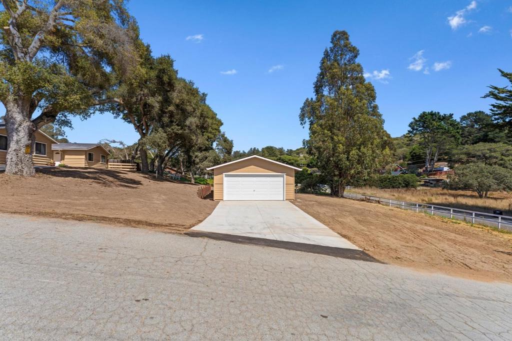 76857695 Pine Tree Property Photo 13