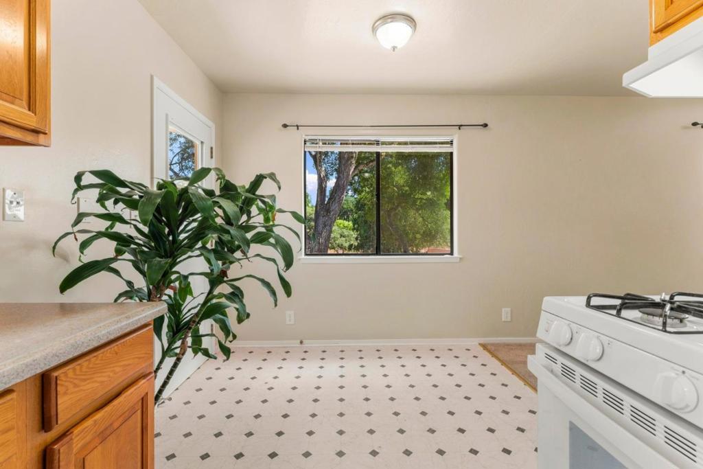 76857695 Pine Tree Property Photo 21