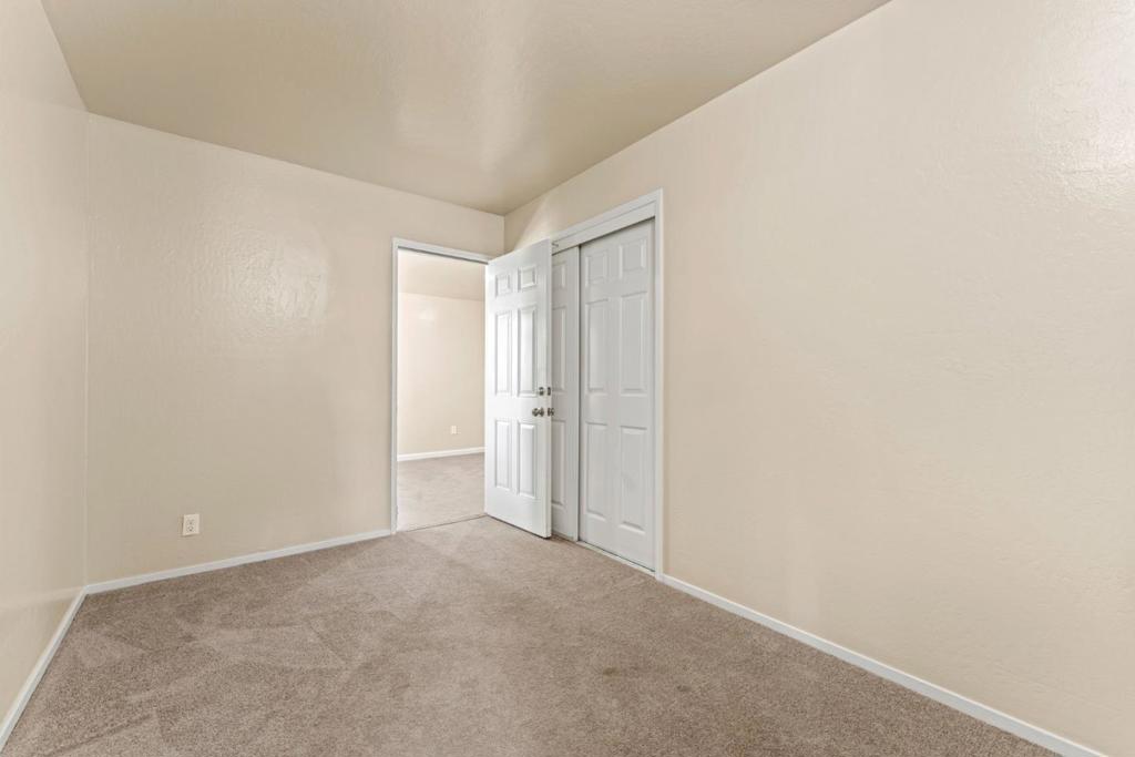 76857695 Pine Tree Property Photo 22