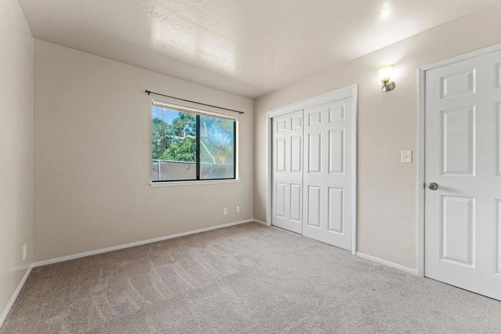 76857695 Pine Tree Property Photo 27