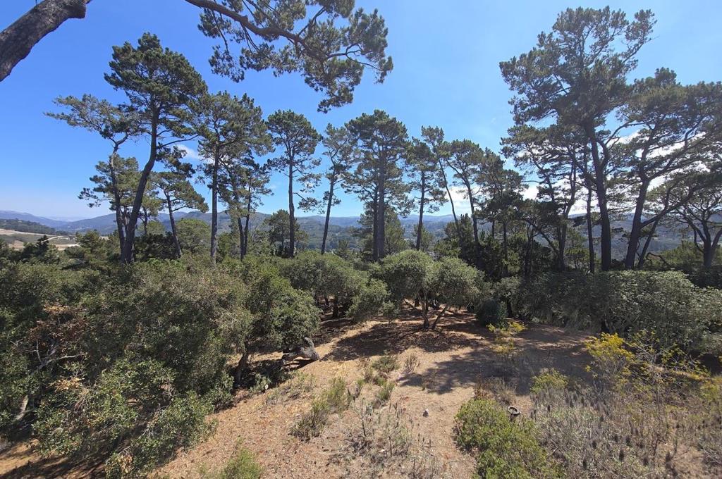 154 Del Mesa Carmel Property Photo 8
