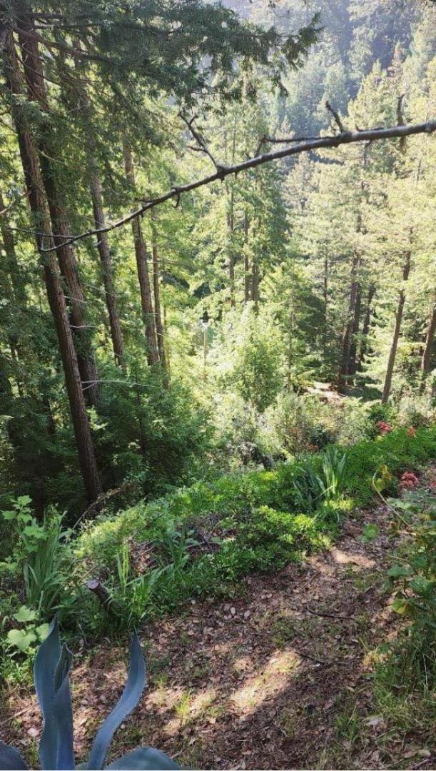 5905 Garrapatos Road Property Photo 8