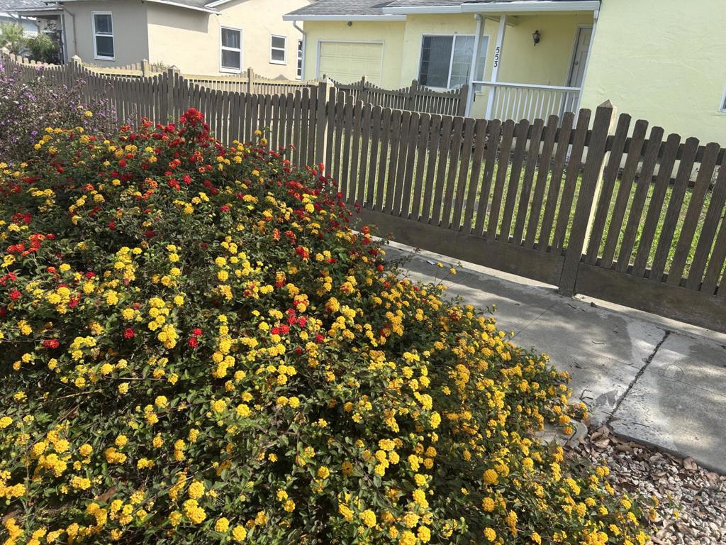 ML82059863 Property Photo 22