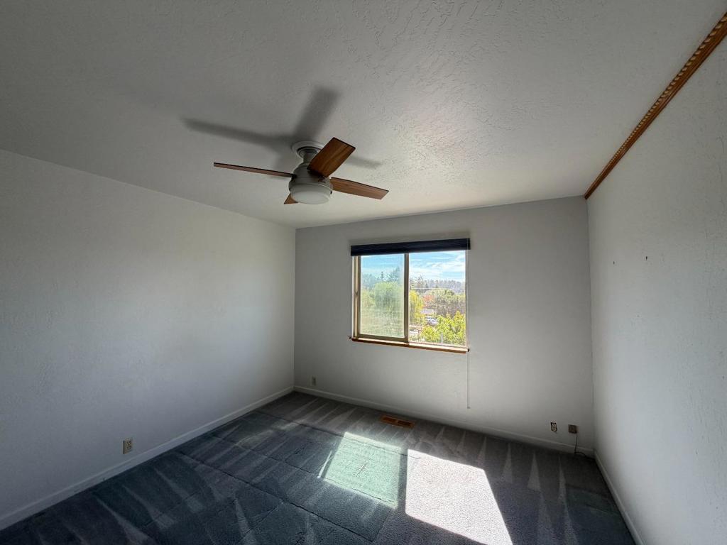 3355 Merrill Road Property Photo 4