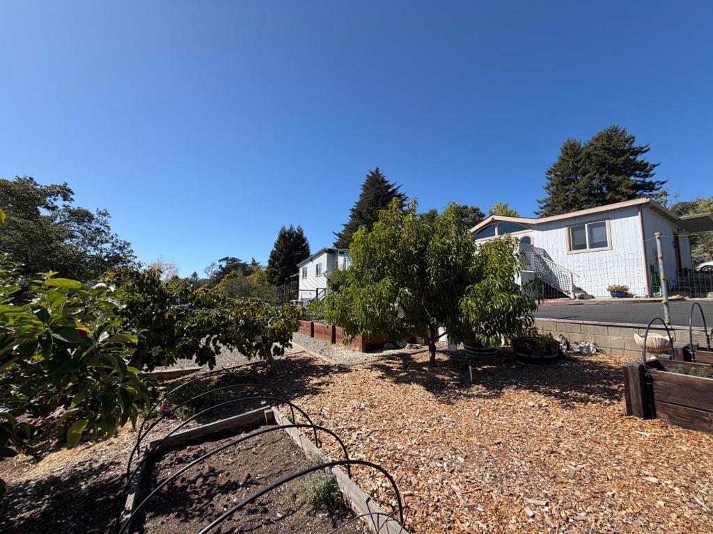 3355 Merrill Road Property Photo 13