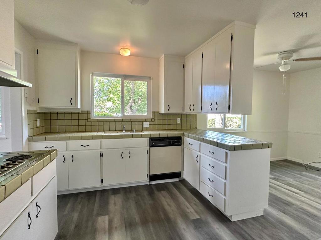 1241 Klee Court Property Photo 6