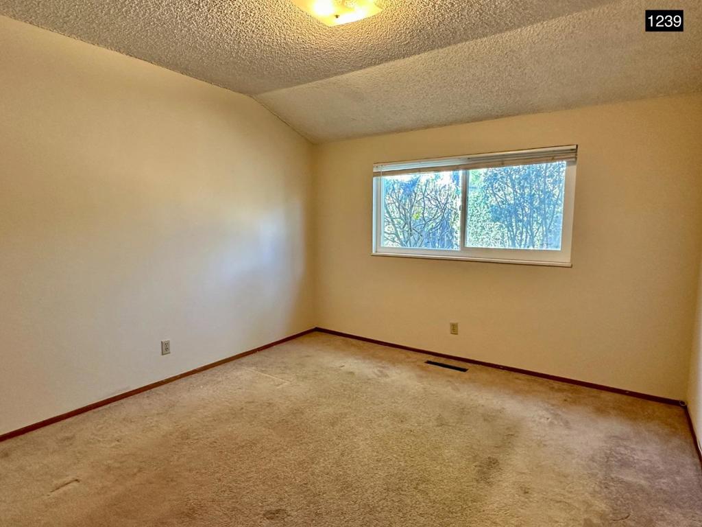 1241 Klee Court Property Photo 23