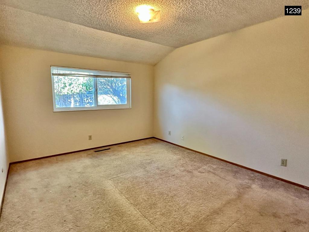 1241 Klee Court Property Photo 24