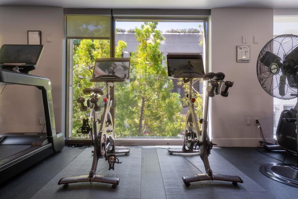 38 N Almaden Boulevard 302 Property Photo 52
