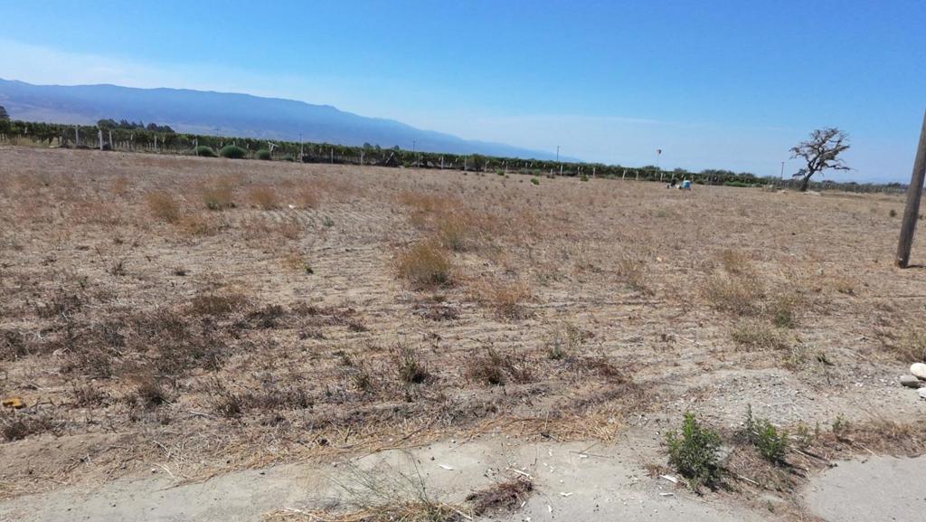 851 El Camino Real Property Photo 8
