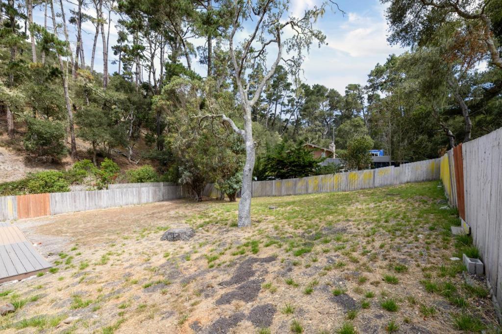 25455 Canada Valley Drive Property Photo 21