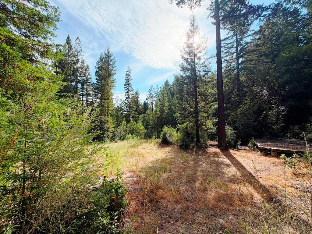 320 Timber Cove Property Photo 1