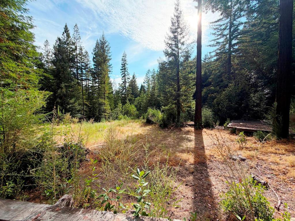 320 Timber Cove Property Photo 2