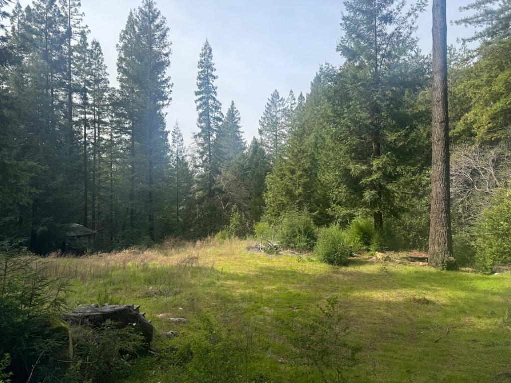 320 Timber Cove Property Photo 4