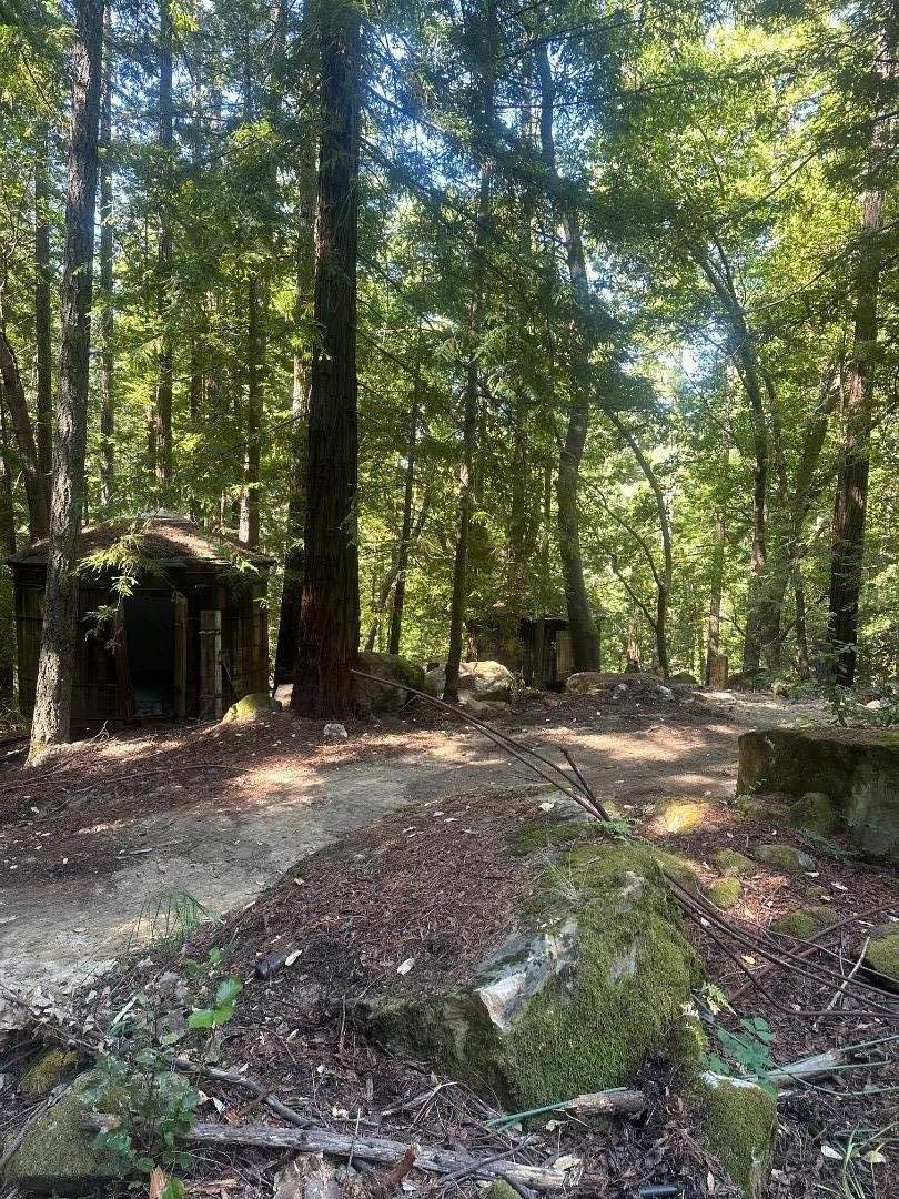 320 Timber Cove Property Photo 9