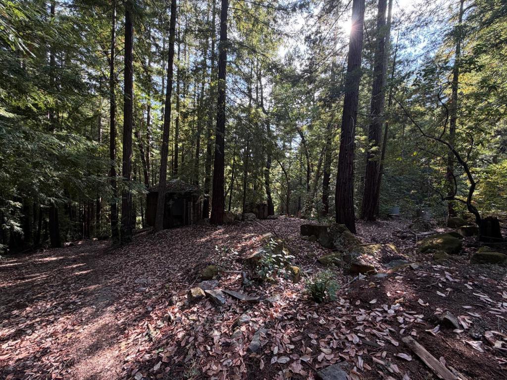 320 Timber Cove Property Photo 11