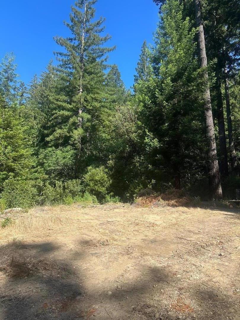 320 Timber Cove Property Photo 13
