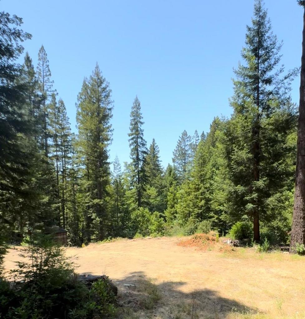 320 Timber Cove Property Photo 14