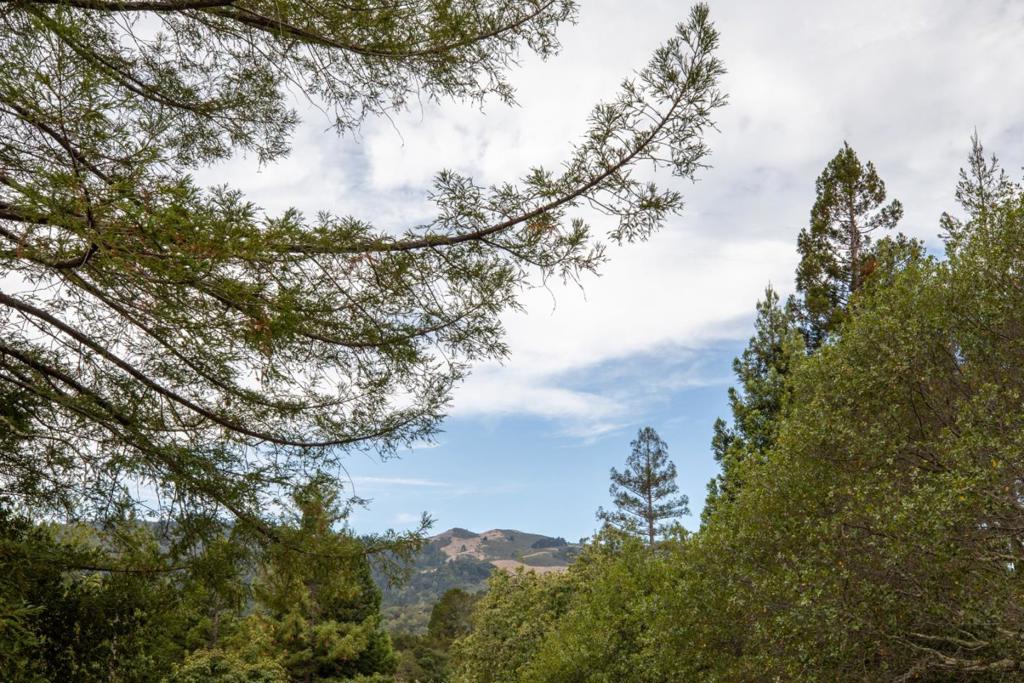 45 Bear Paw Property Photo 22