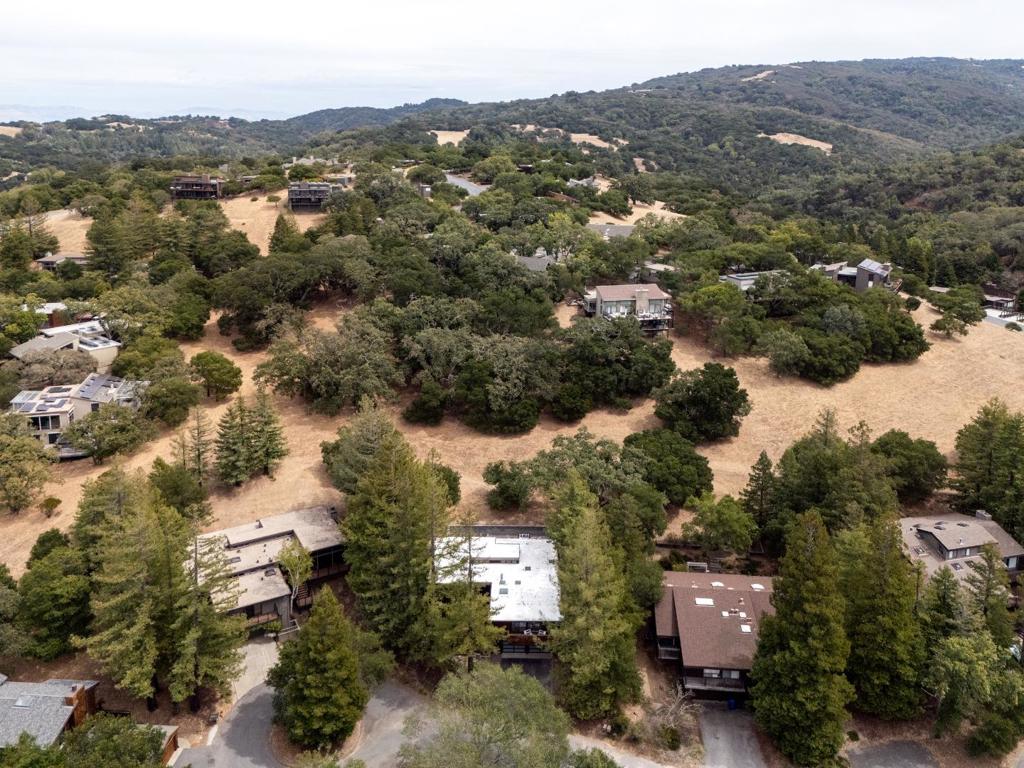 45 Bear Paw Property Photo 34