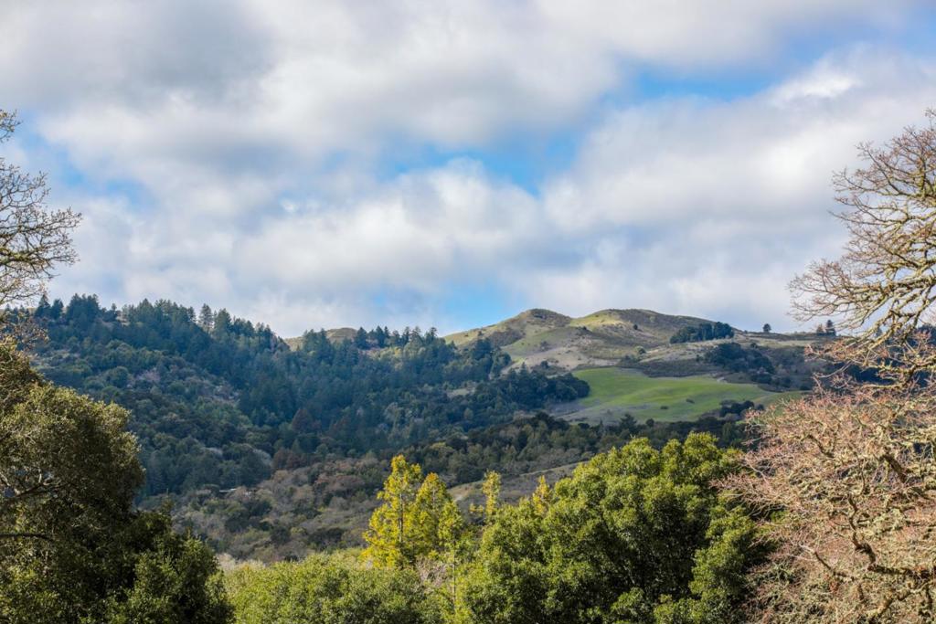 45 Bear Paw Property Photo 38