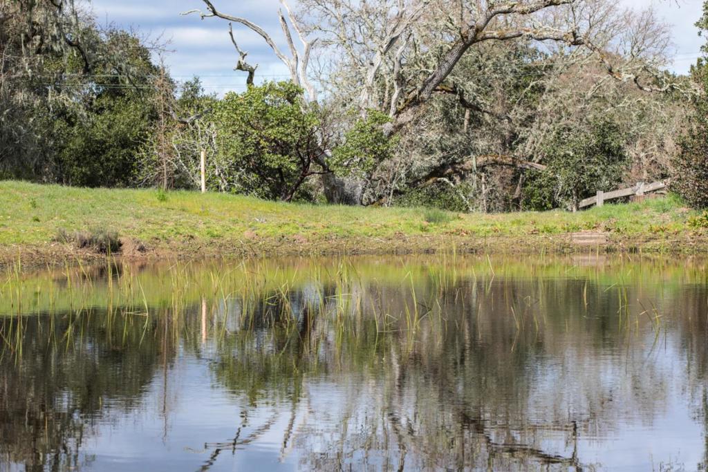 45 Bear Paw Property Photo 43