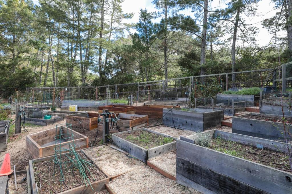 45 Bear Paw Property Photo 47