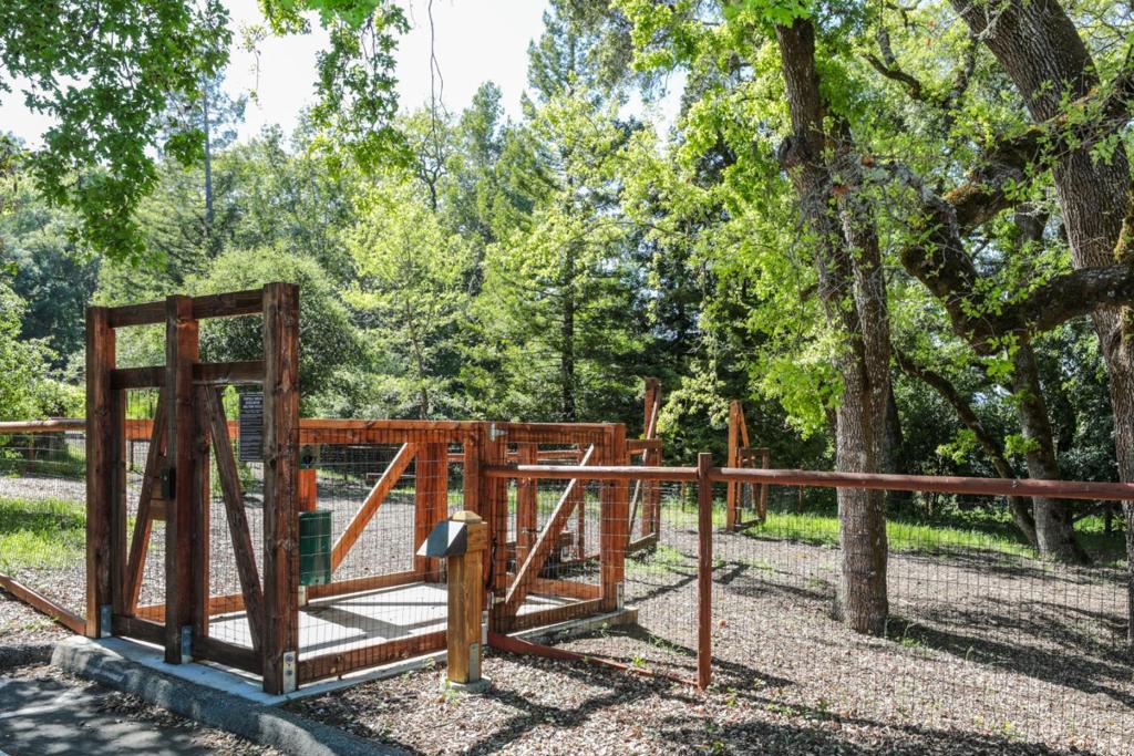 45 Bear Paw Property Photo 52