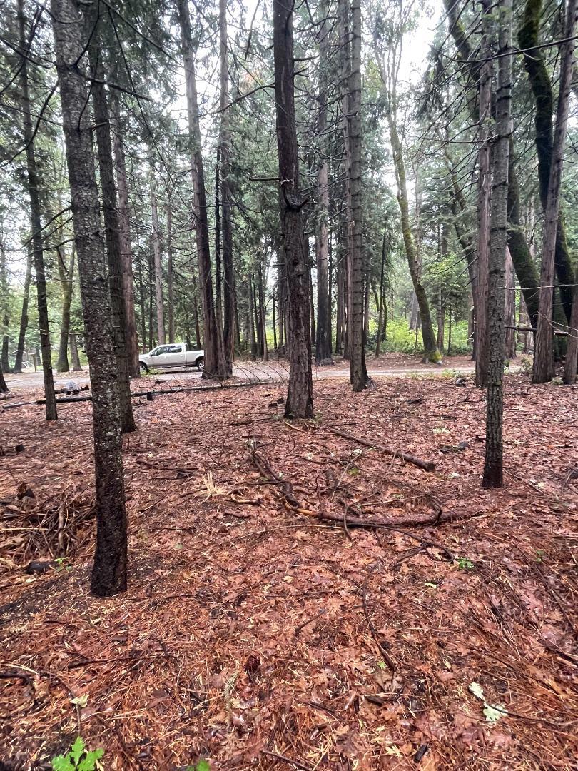 ML82060176 Property Photo 2